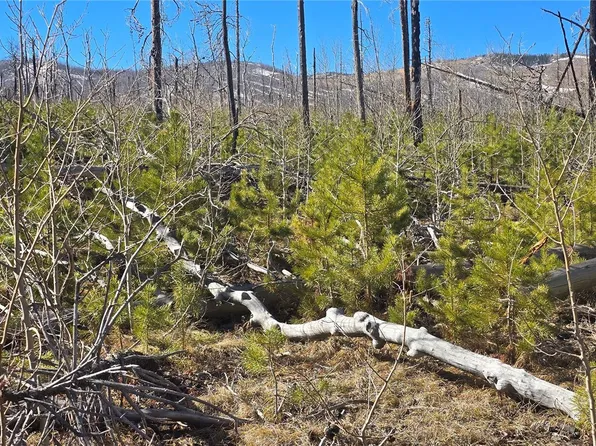 Lot 1460 Von Heyl Lane, Fort Garland, CO 81133