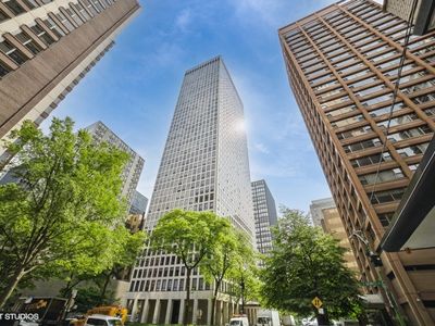 260 E Chestnut St APT 3505, Chicago, IL, 60611