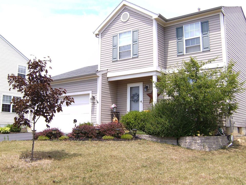 Front View