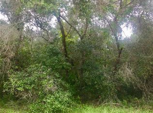 SW 137th Loop LOT 4, Ocala, FL 34473
