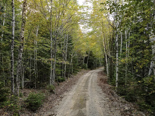 Lot 11-1 Carry Ridge Road, Northfield, ME 04686