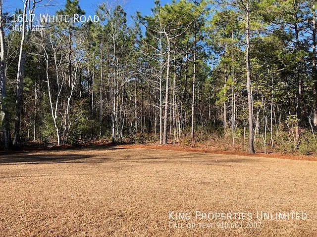 1617 White Rd — Photo 19