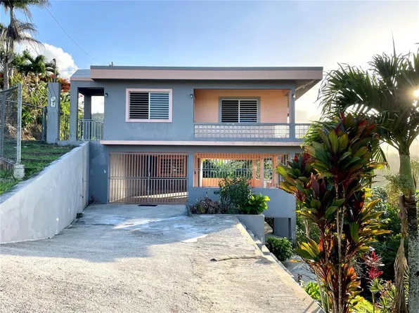 173 La Jacana, Aguas Buenas, PR 00703