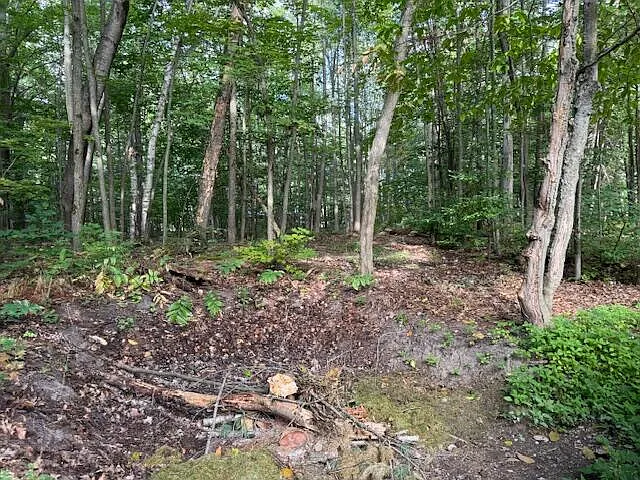 4 S Perch Lake Dr photo 1
