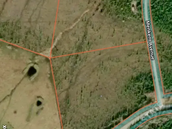 0 Stampede Rd, Healy, AK 99743