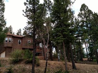 15394 S Wandcrest Dr, Pine, CO 80470