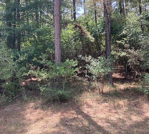 4th image of 25206 Pipestem Dr