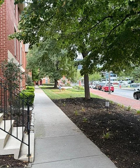 516 S Charles St #R88 — Photo 2