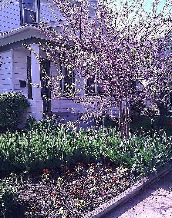 Exterior Spring