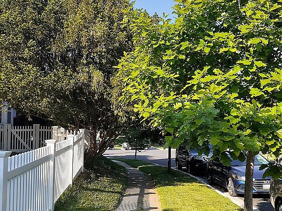 Side yard on Byington Road