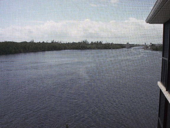 view to the south