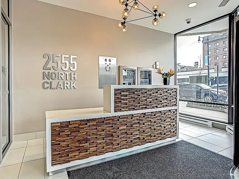 2535 N Clark St #809 — Photo 12