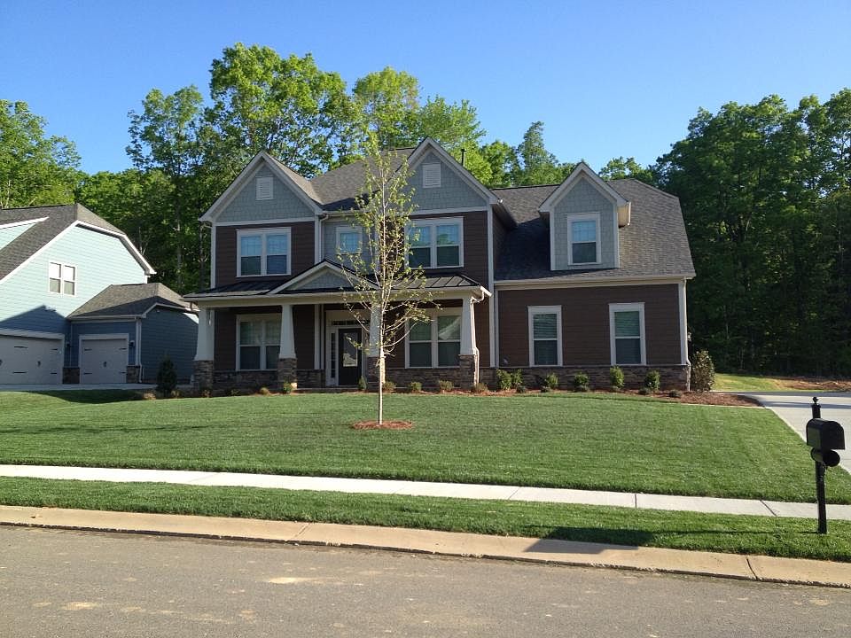 Green lawn in the spring