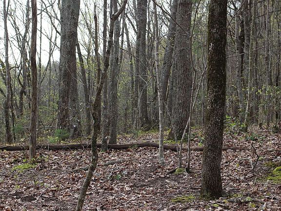 3rd image of LOT 178 Trailwood Dr Lot 178