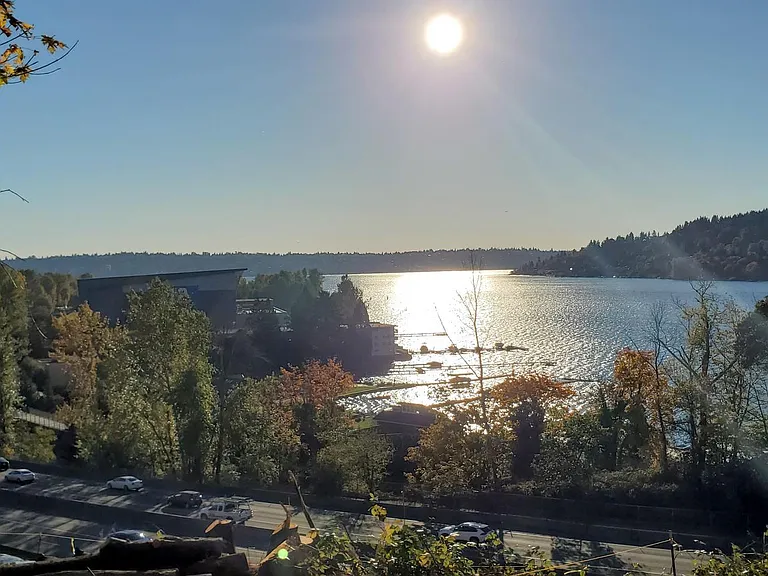 Misty Cove Lake View