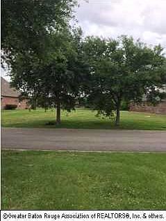 4th image of 264 Swan Cir