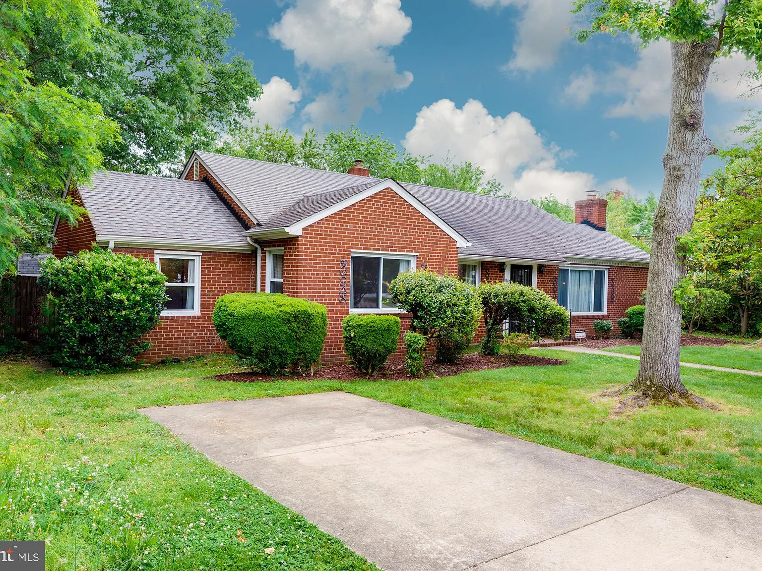 3 bed, 1.5 bath, 1650 sqft, $4,500 — Photo 3