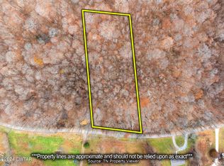 0 Lee Hollow Rd, Indian Mound, TN 37079