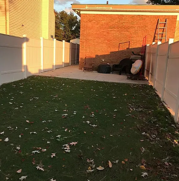 Backyard and patio