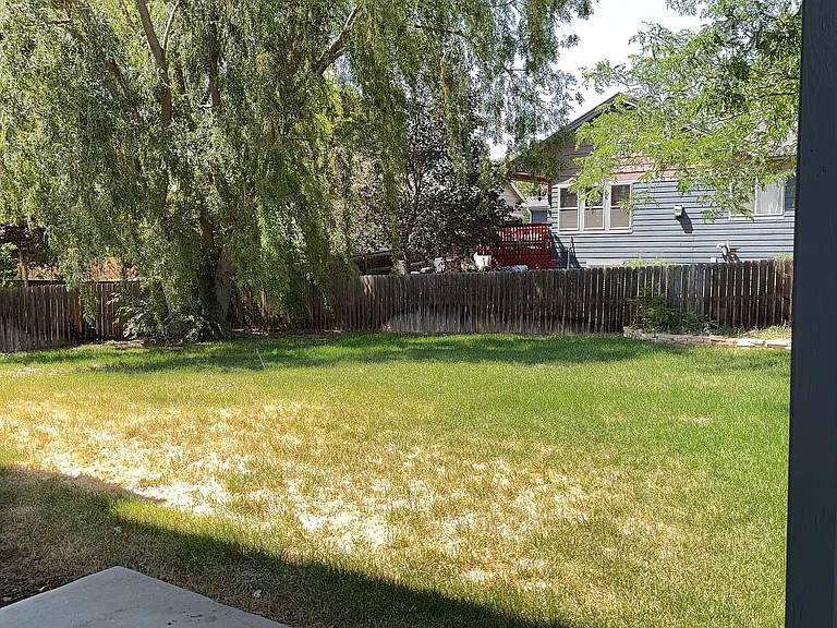 338 Talon Ct — Photo 9