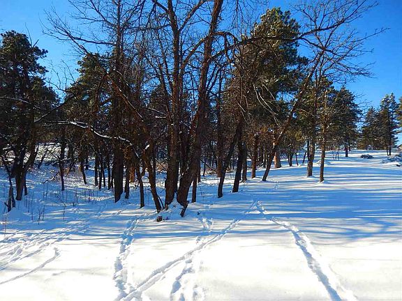 2nd image of LOT 44B W Pine