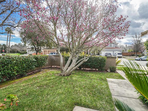 4th image of 1505 Majorca Dr