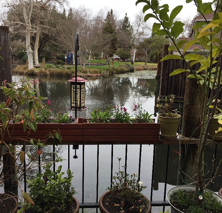 2nd image of 17098 Creekside Cir