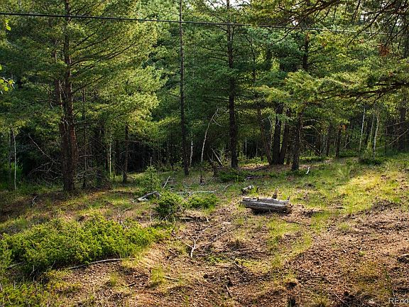 5th image of 123 Ellis Lake Circle LOT 59