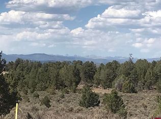 County Road 310, Ignacio, CO 81137