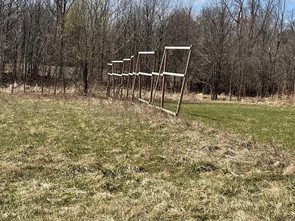 Vacant Belle River Rd, Memphis, MI 48041