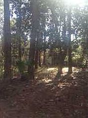 1st image of 1111 Napoleon Pl