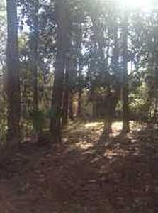1111 Napoleon Pl, Dauphin Island, AL, 36528