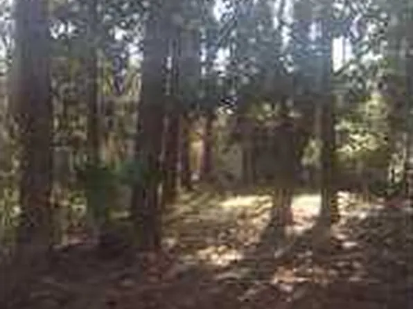 1111 Napoleon Pl, Dauphin Island, AL 36528