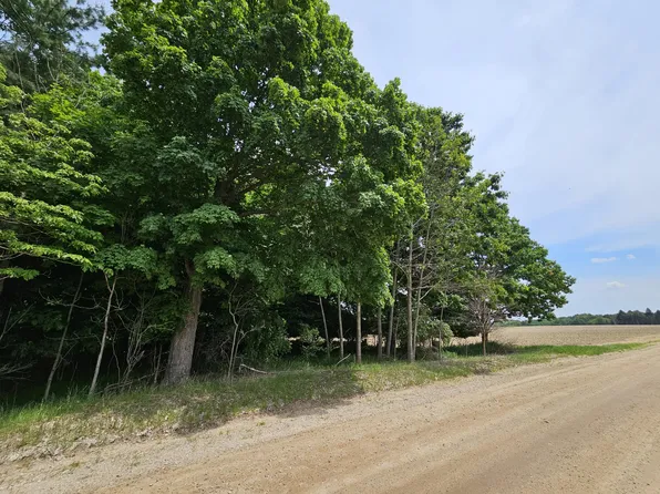 LOT Waterwheel Rd #D, Six Lakes, MI 48886