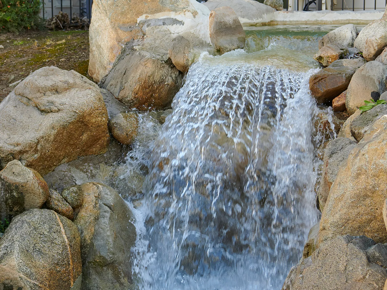 Sycamore Springs — Photo 4