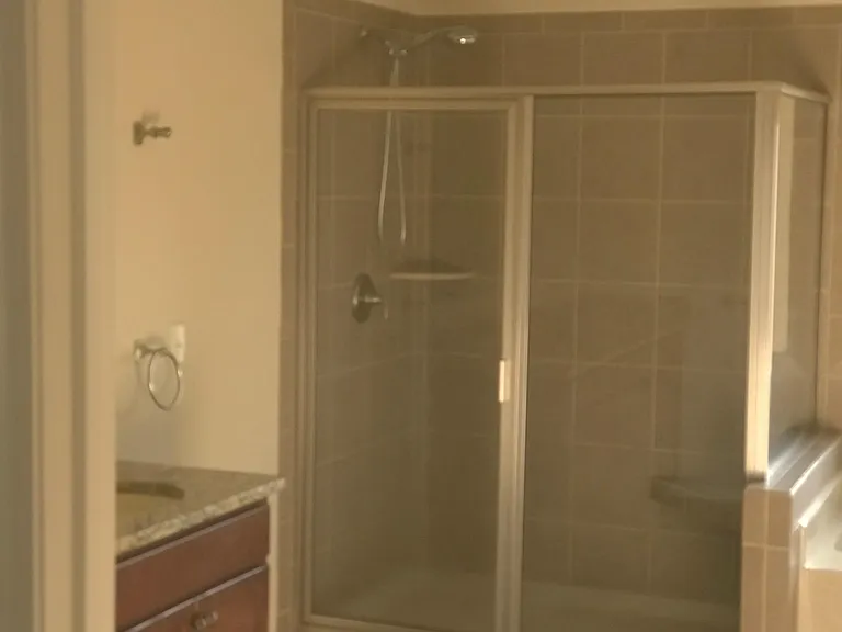 Master Bath Shower
