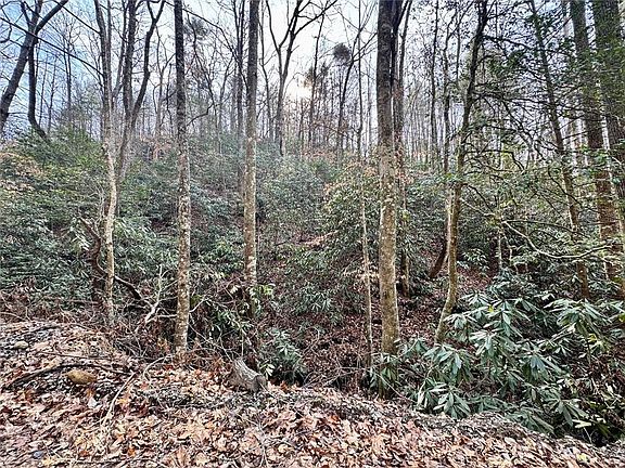 3rd image of L53 Amy Creek Cir #53