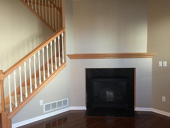 Fireplace and Mantle