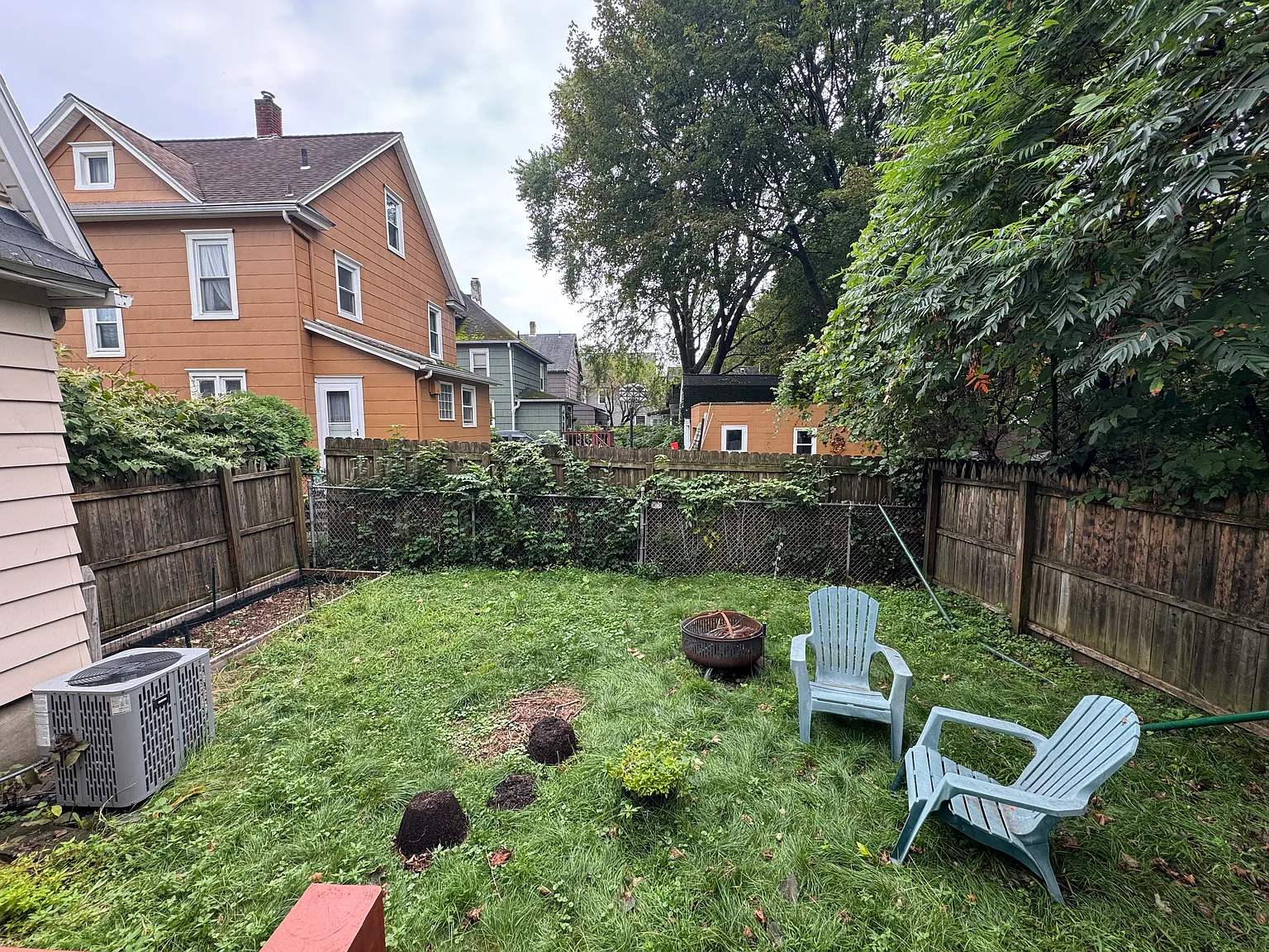 1 bed, 800 sqft, $1,250 — Photo 4