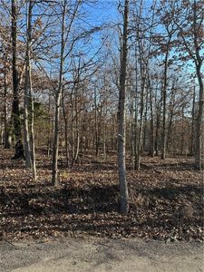 17 Peebles Ln, Bella Vista, AR, 72715