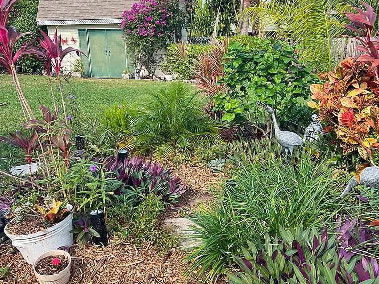 back patio