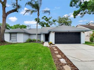 15026 Redcliff Dr, Tampa, FL 33625