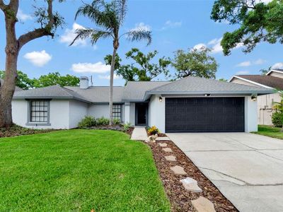 15026 REDCLIFF DRIVE, Tampa, FL, 33625
