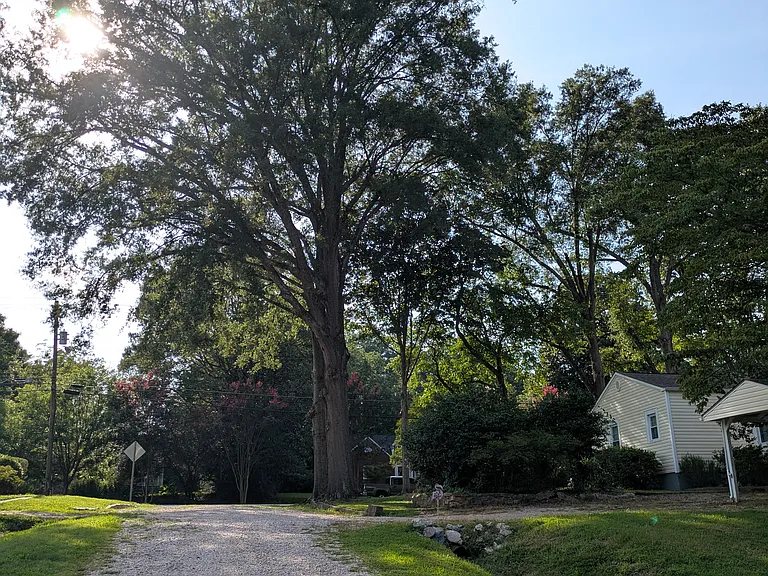 The view looking up toward South Main