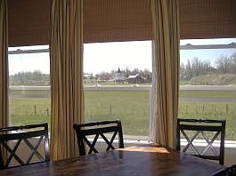 Pastoral views