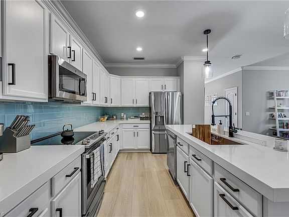 2nd image of 4331 Raffia Palm CIR
