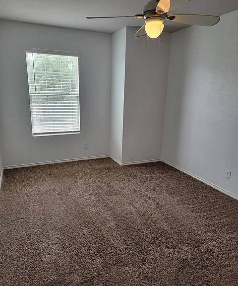 4023 Wisteria Way — Photo 10
