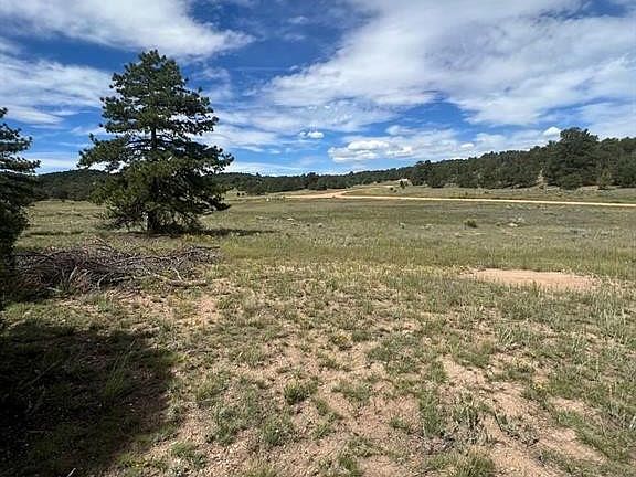 2nd image of 1038 Texas Creek Ln