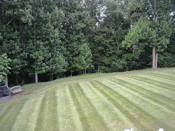 3rd image of 1177 Ivy Creek Dr