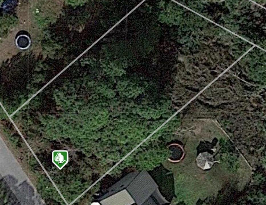 2nd image of 116 Palmera Ln